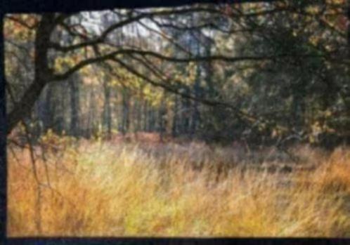 NIEUW! Xpozer foto & ophangsysteem 90x135cm €21,99 (NR14), Huis en Inrichting, Woonaccessoires | Schilderijen, Tekeningen en Foto's