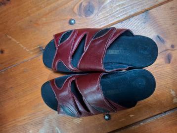 Ladysko instappers beschikbaar voor biedingen