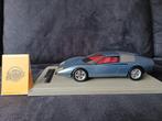 1:18 Tecnomodel Ferrari P6 Van, Hobby en Vrije tijd, Modelauto's | 1:18, Overige merken, S, Auto, R