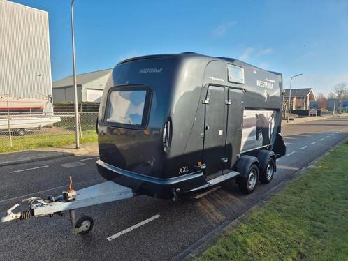 Westfalia XXL uniek!!, Dieren en Toebehoren, Paarden en Pony's | Trailers en Aanhangwagens, Zo goed als nieuw, Ophalen