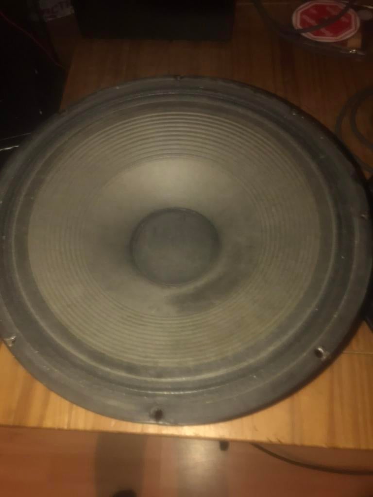 Pa bass speakers 300/600 watt, Audio, Tv en Foto, Luidsprekers, Ophalen, Zo goed als nieuw, 120 watt of meer, Overige merken