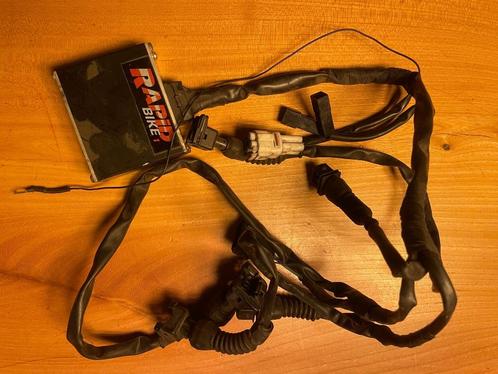 Rapid bike 1 Module, injectie, tuning R1150GS, R1150RT, Motoren, Tuning en Styling, Verzenden