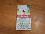 Advantix 3 pipet. Vlo, teek spot- voor hond vanaf 4 -10 kg, Dieren en Toebehoren, Ophalen of Verzenden, Nieuw