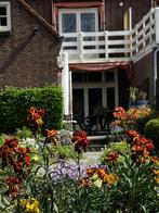 markies, Tuin en Terras, Zonneschermen, Ophalen, Gebruikt, 150 tot 300 cm, Markies