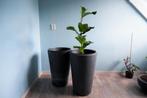 Bloempot plantenpot Betonlook, Ophalen, Overige materialen, Binnen, Minder dan 60 cm