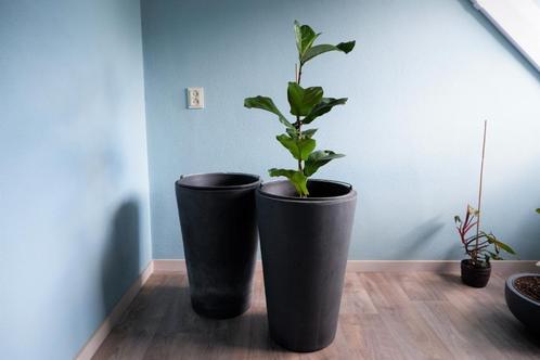 Bloempot plantenpot Betonlook, Tuin en Terras, Bloembakken en Plantenbakken, Zo goed als nieuw, Overige materialen, Binnen, Balkon