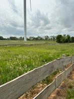 Hobby weide te huur, Dieren en Toebehoren, Stalling en Weidegang, Weidegang