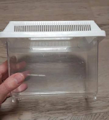Transport box doosje voor o.a. vissen garnalen etc beschikbaar voor biedingen