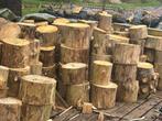 Droog brandhout / haardhout / kachelhout ongekloofd, Tuin en Terras, Minder dan 3 m³, Blokken, Ophalen, Overige houtsoorten
