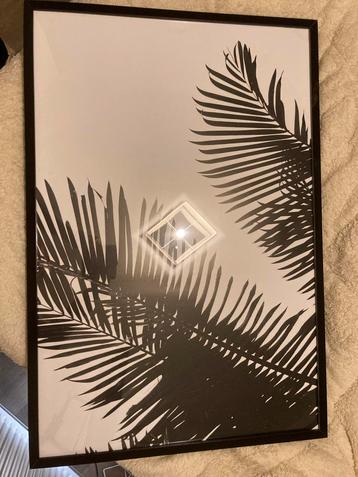 Zwart-wit print met palmbladeren beschikbaar voor biedingen