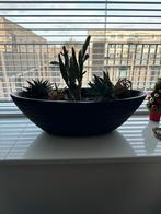 Mooie plantenbak voor binnen, 40 cm of meer, Binnen, Ophalen of Verzenden, Zo goed als nieuw