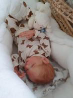 Teddy Poppy Rose   💗, Ophalen of Verzenden, Zo goed als nieuw