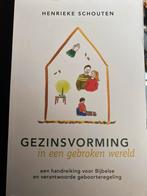 Henrieke Schouten - Gezinsvorming in een gebroken wereld, Ophalen of Verzenden, Zo goed als nieuw, Henrieke Schouten