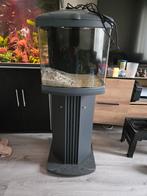 Aquarium 40cm, Dieren en Toebehoren, Ophalen, Gebruikt, Leeg aquarium