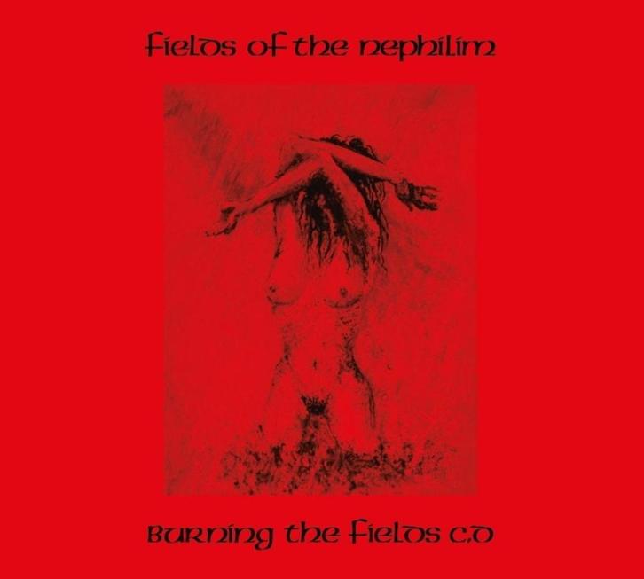 Fields Of The Nephilim - Burning The Fields / Returning 2CDs, Cd's en Dvd's, Cd's | Rock, Nieuw in verpakking, Verzenden