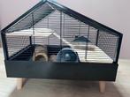 Mooie design knaagdierenkooi Beezteez, Kooi, Gebruikt, Minder dan 75 cm, Hamster