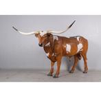 Bull Texas Longhorn 288 cm - stier texas longhorn beeld, Ophalen, Nieuw, Overige typen