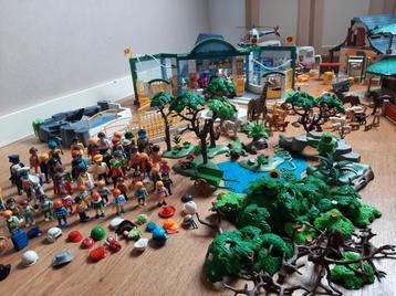Grote Playmobil Verzameling beschikbaar voor biedingen