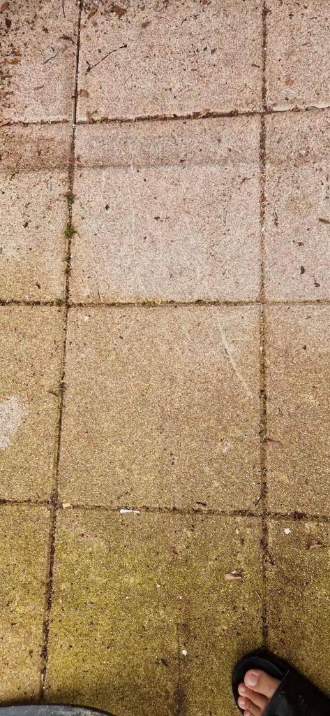 220 hele stuks Tuin tegel 40cm/40cm bij 45mm dik, Tuin en Terras, Tegels en Klinkers, Gebruikt, Ophalen of Verzenden