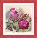 # Compleet nieuw borduurpakket; Rose #, Ophalen of Verzenden, Nieuw, Handborduren, Borduurpakket