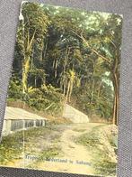 47) Ansichtkaart ‘Tropisch Nederland te Sabang (ca. 1910)
