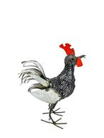 Kleine Haan, Ophalen of Verzenden