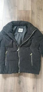 Jas, Kleding | Dames, Jassen | Winter, Ophalen, Zwart, Maat 42/44 (L), Zo goed als nieuw