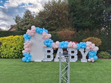 Gender reveal babyshower  beschikbaar voor biedingen