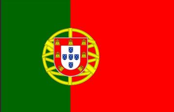 WEKELIJKSE RITTEN TUSSEN NL <-> PORTUGAL # Verhuizen beschikbaar voor biedingen