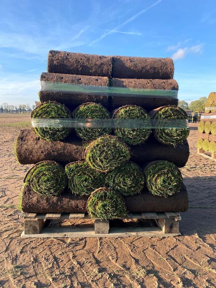 ✅ Dagverse graszoden van premium kwaliteit ✅, Tuin en Terras, Overige Tuin en Terras, Nieuw, Ophalen of Verzenden