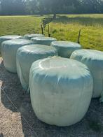 Midibalen hooi 6 stuks, Dieren en Toebehoren, Dierenvoeding, Ophalen, Vee