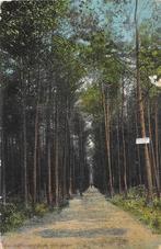 AK Ginneken - Eeuwigheidslaantje, Verzenden, Voor 1920, Gelopen, Noord-Brabant