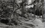 Pa1000 Oude gelopen Ansichtkaart Dwingeloo Bos en Duin 1962, Verzenden, 1960 tot 1980, Gelopen