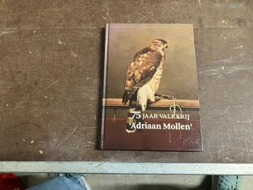 roofvogel valk valkenier valkerij beschikbaar voor biedingen