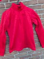 Ariat trui maat xs., Dieren en Toebehoren, Paardrijkleding, Overige soorten, Ophalen of Verzenden, Zo goed als nieuw, Dames