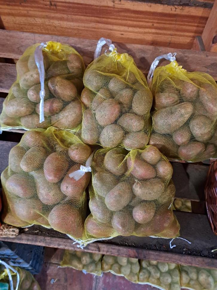 onbespoten alouette aardappelen te koop. 19, Diversen, Levensmiddelen, Ophalen