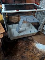 Ratten-/knaagdieren kooi, zeer goede staat, Dieren en Toebehoren, Knaagdieren en Konijnen | Hokken en Kooien, Ophalen, Kooi, Zo goed als nieuw