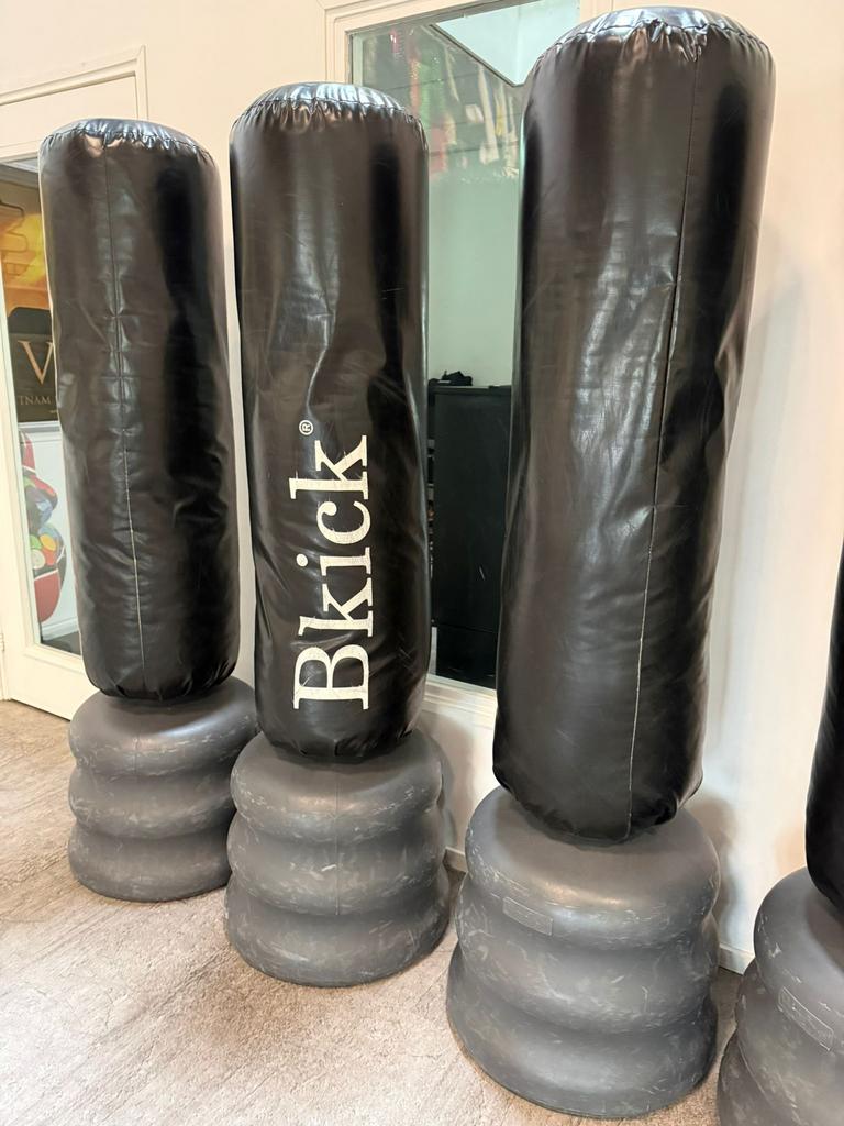 Vrijstaande boxzakken Bkick 7 stuks (mag ook per stuk), Ophalen, Gebruikt, Overige, Vechtsportmateriaal