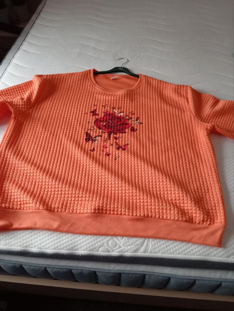 Dames truien(grote maat), Kleding | Dames, Grote Maten, Ophalen of Verzenden, Nieuw, Trui of Vest