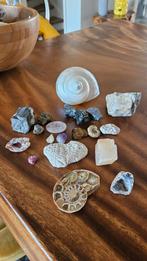 Diverse collectie edelstenen, mineralen en fossielen, Ophalen of Verzenden