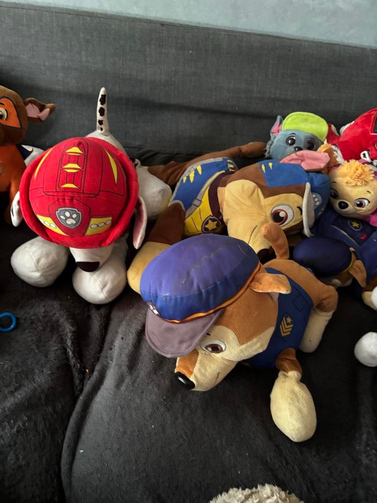 Paw Patrol knuffels - Diverse karakters, Gebruikt, Overige merken, Middelgroot (20 tot 80 cm), Meerkleurig