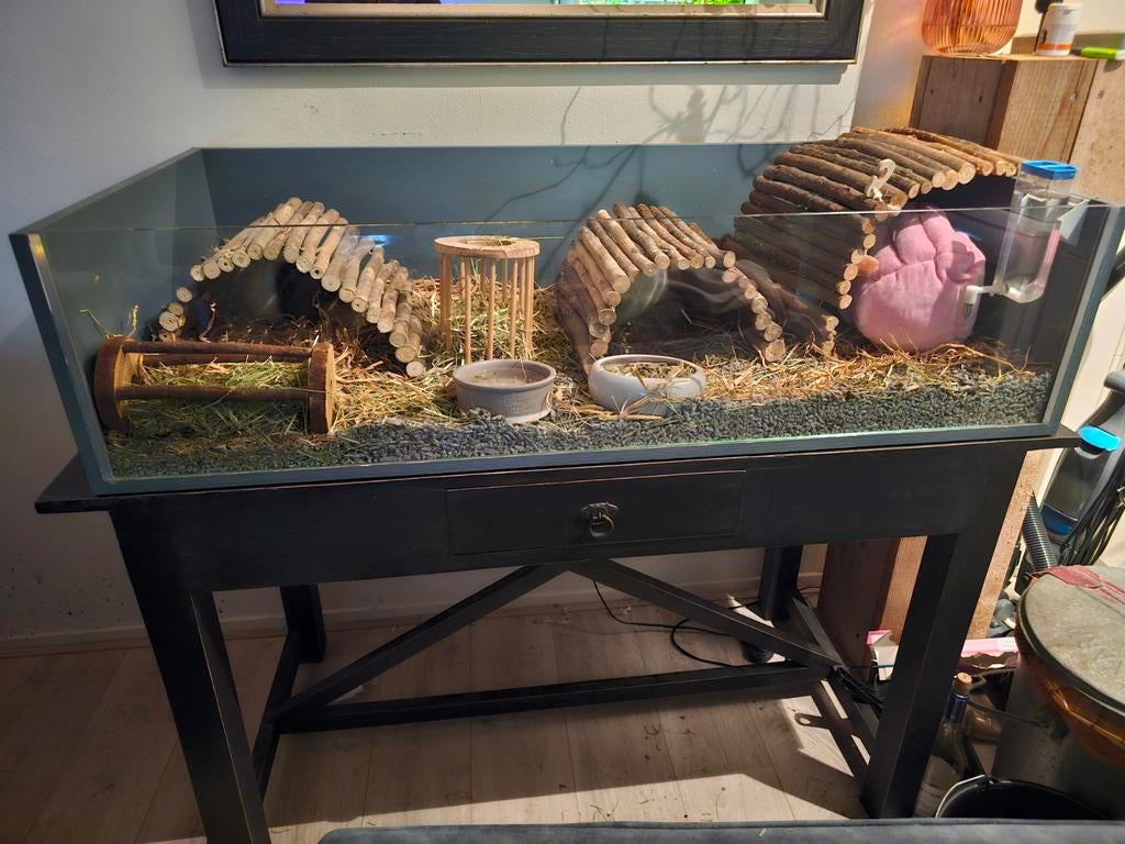 Cavia verblijf. 120x60 glas en hout incl tafel, Minder dan 60 cm, 110 cm of meer, Ophalen of Verzenden, Hok