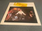 Jonathan Richman & The Modern Lovers - Live Vinyl LP, Ophalen of Verzenden, 1960 tot 1980, Gebruikt, 12 inch