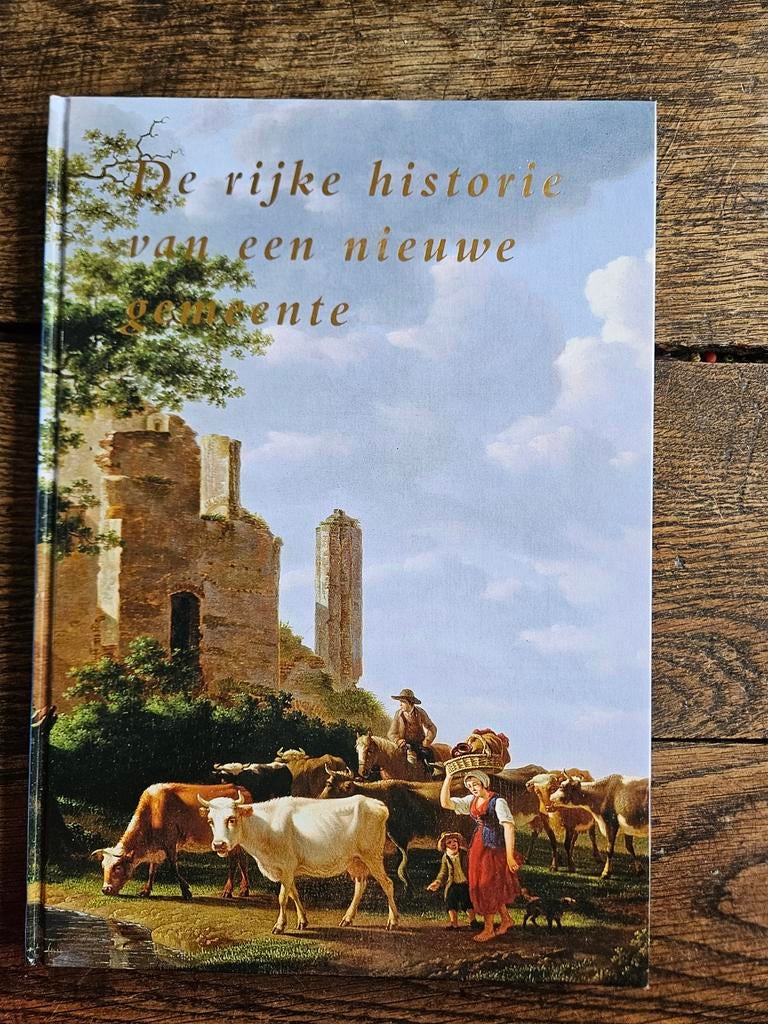De rijke historie van een nieuwe gemeente, Boeken, Geschiedenis | Stad en Regio, Ophalen of Verzenden, Zo goed als nieuw