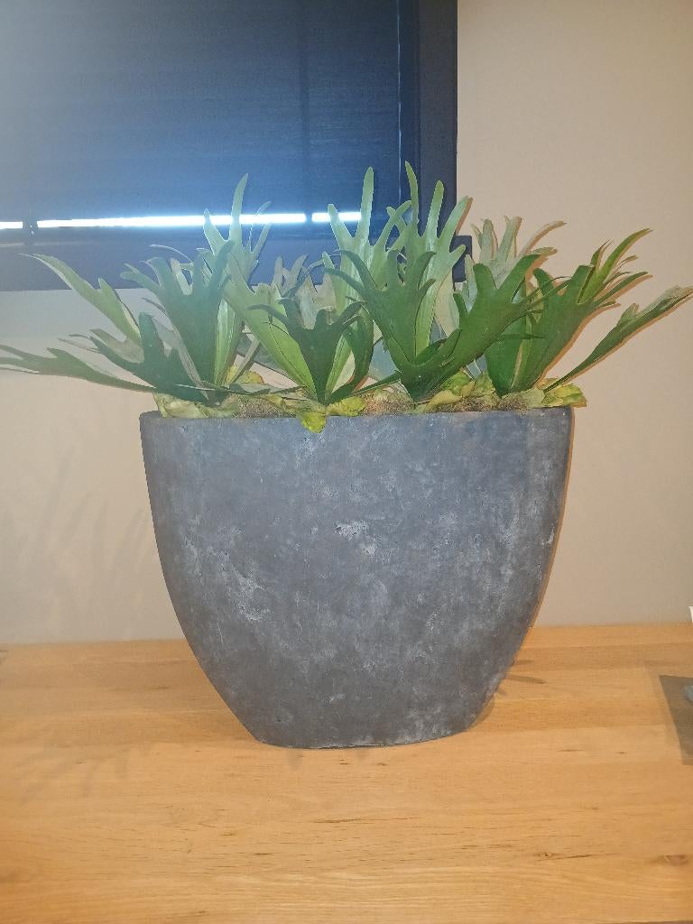 Brynxz pot met kunstplant, Huis en Inrichting, Woonaccessoires | Vazen, Ophalen, Overige kleuren, Minder dan 50 cm