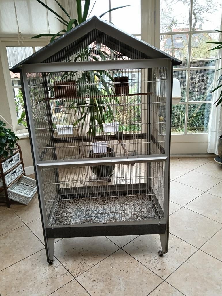 Kamer volière, Dieren en Toebehoren, Vogels | Hokken en Kooien, Ophalen, Aluminium, Volière