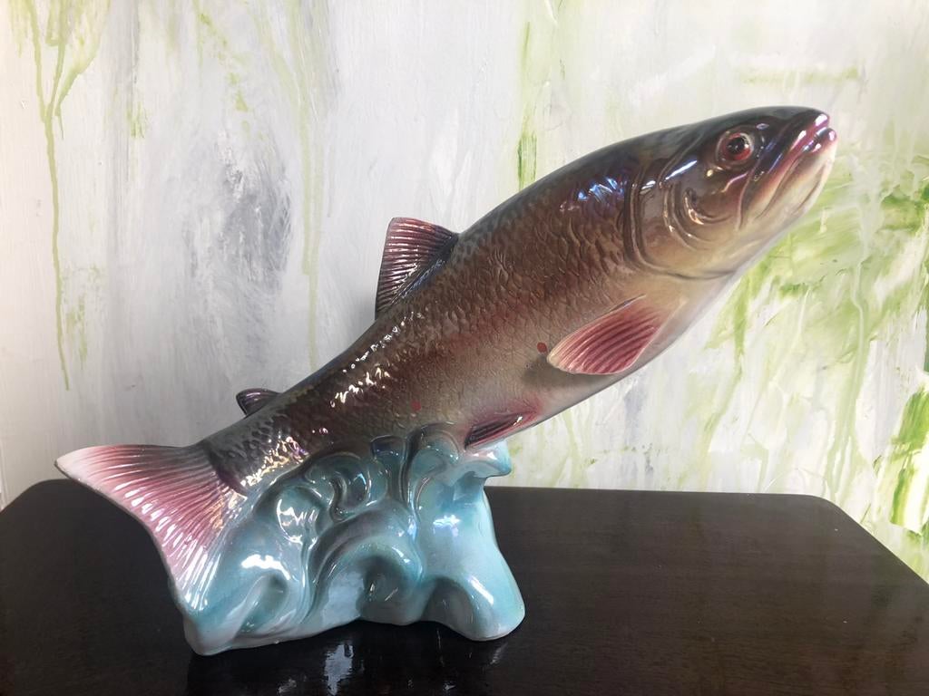 👑Jema Holland vis, Ophalen of Verzenden, Gebruikt, Dier