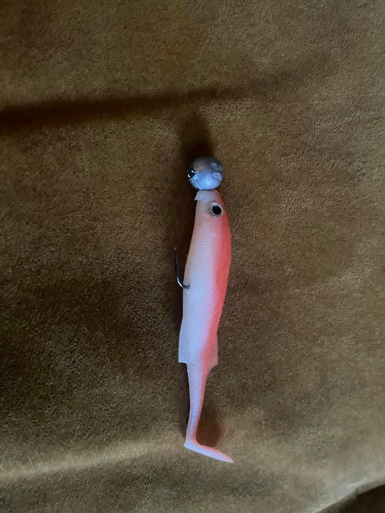 Wit oranje vis aas, Ophalen of Verzenden, Gebruikt, Overige typen