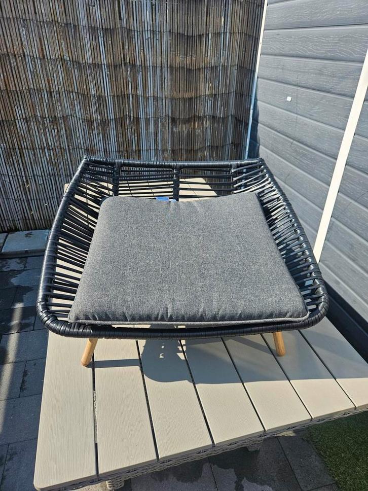 Honden/katten Mand, Boeken, Dieren en Huisdieren, Nieuw, Katten, Ophalen