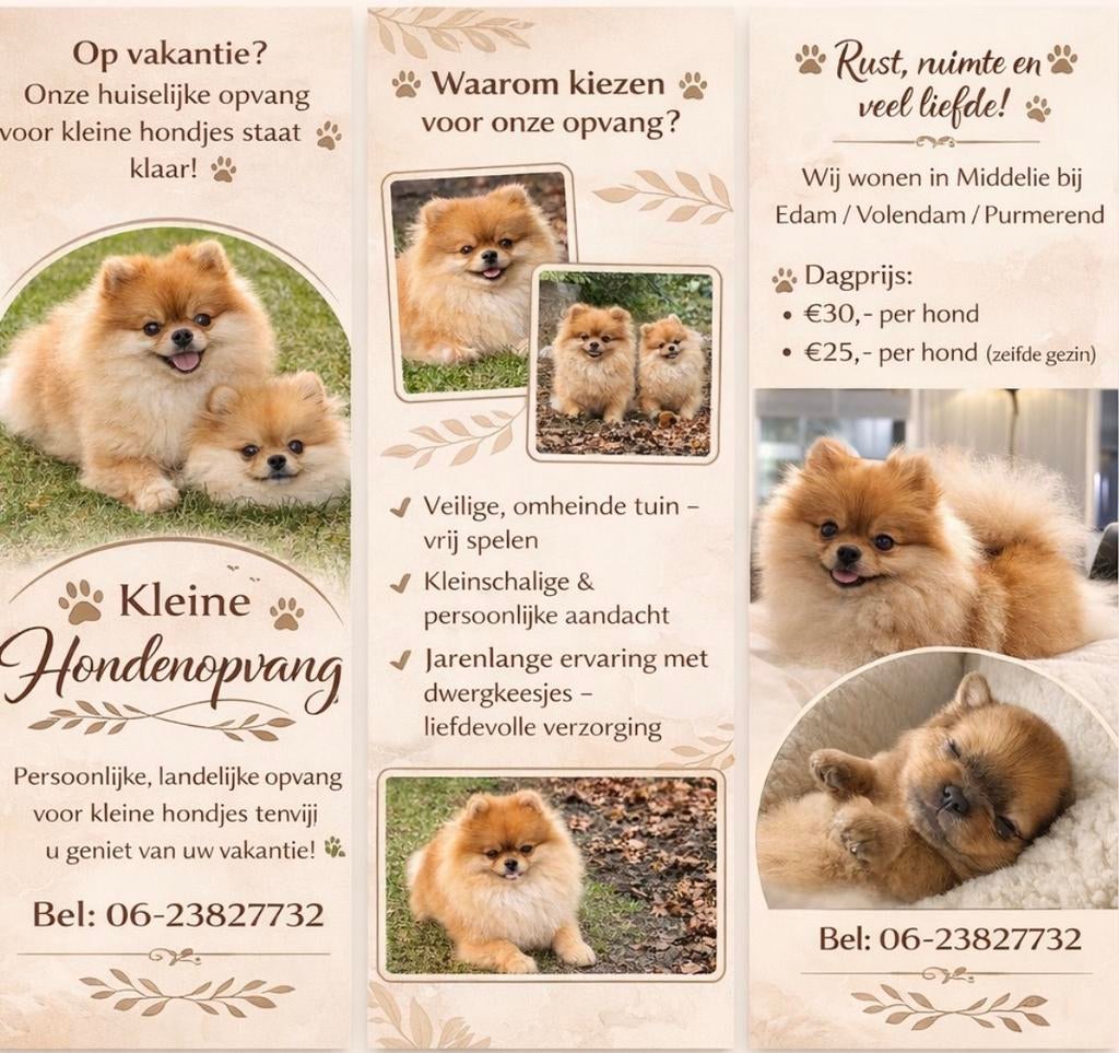 Vakantie opvang hondjes, Particuliere oppas